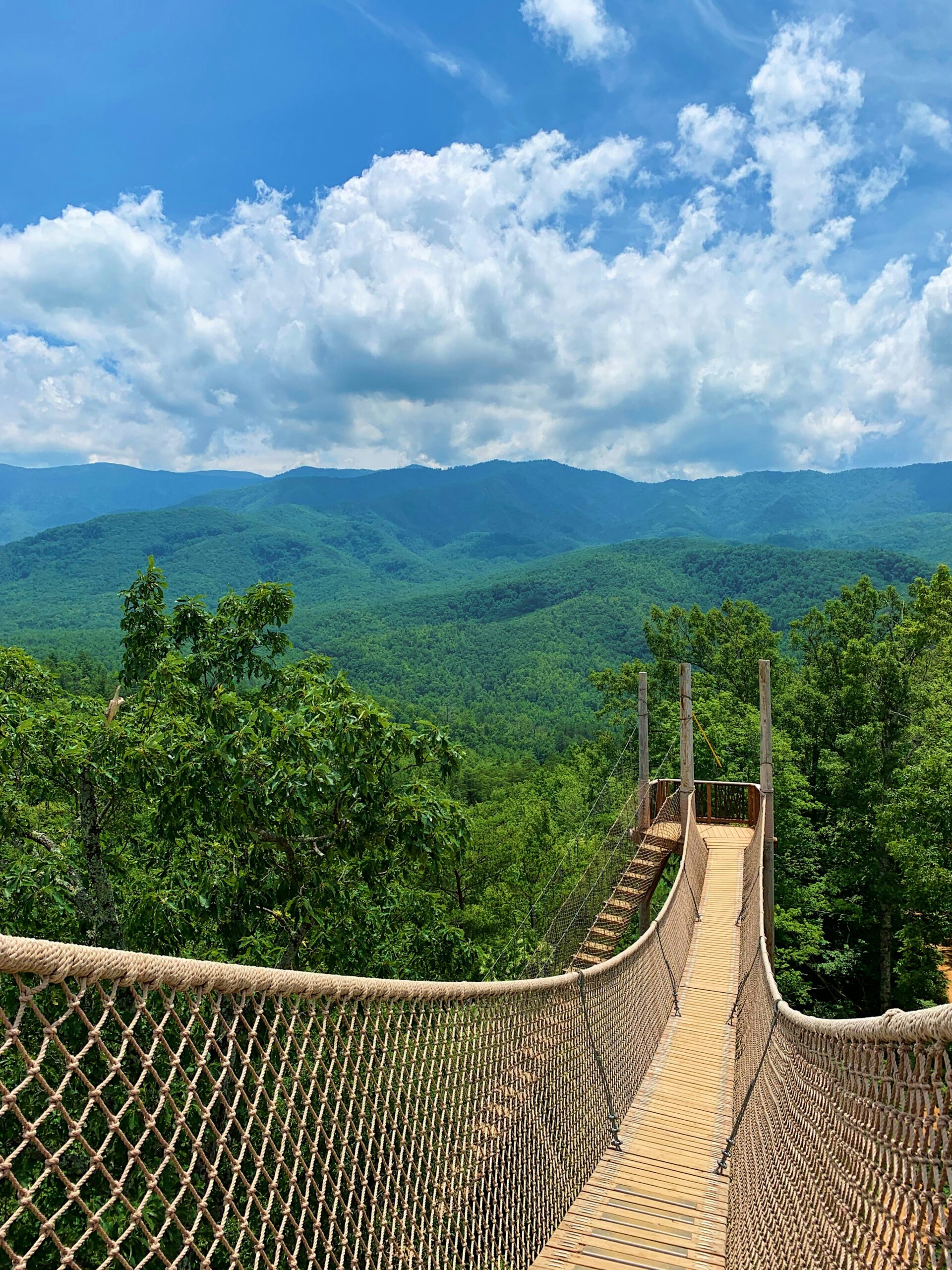sky bridge