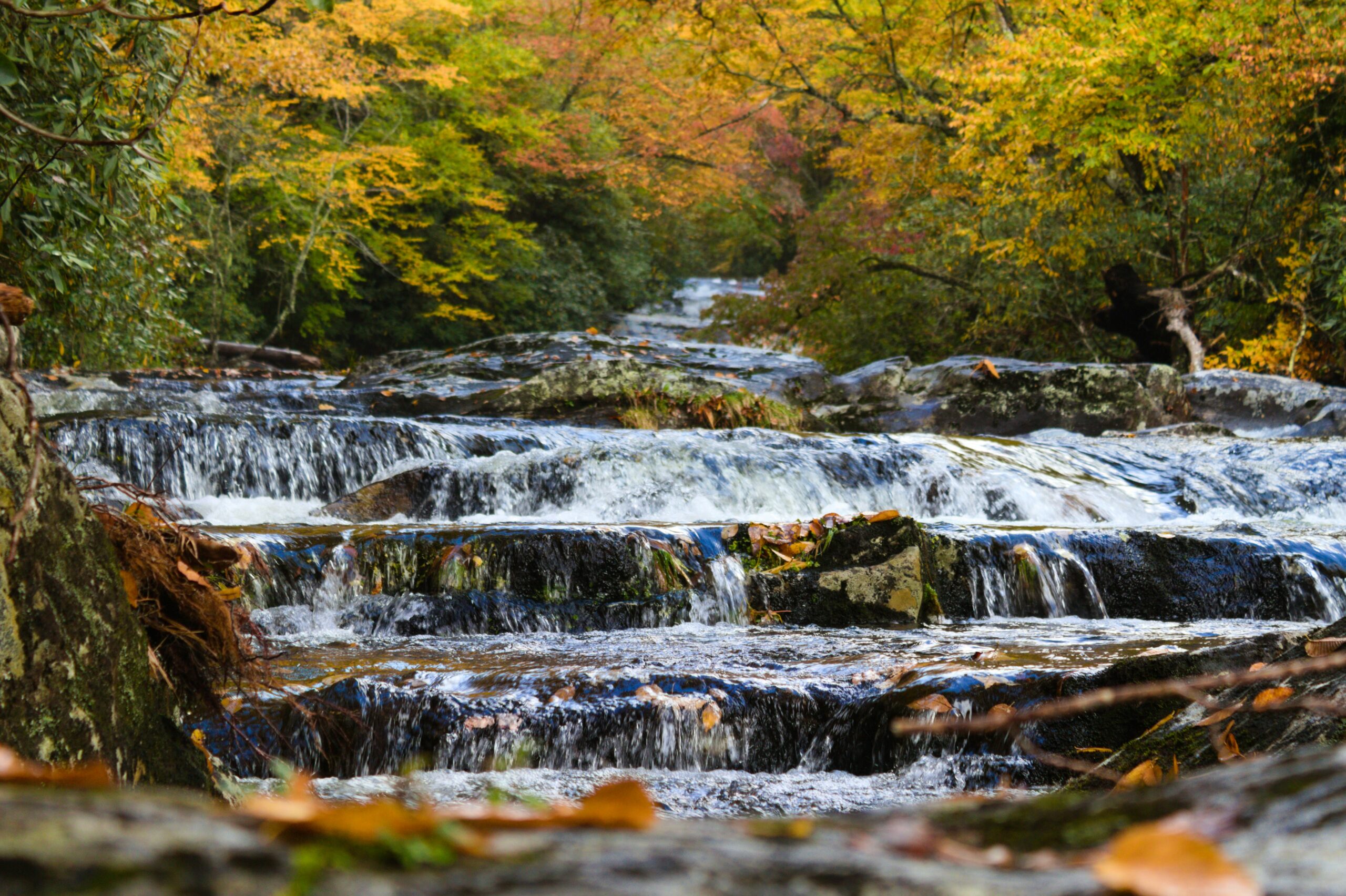 stream 
